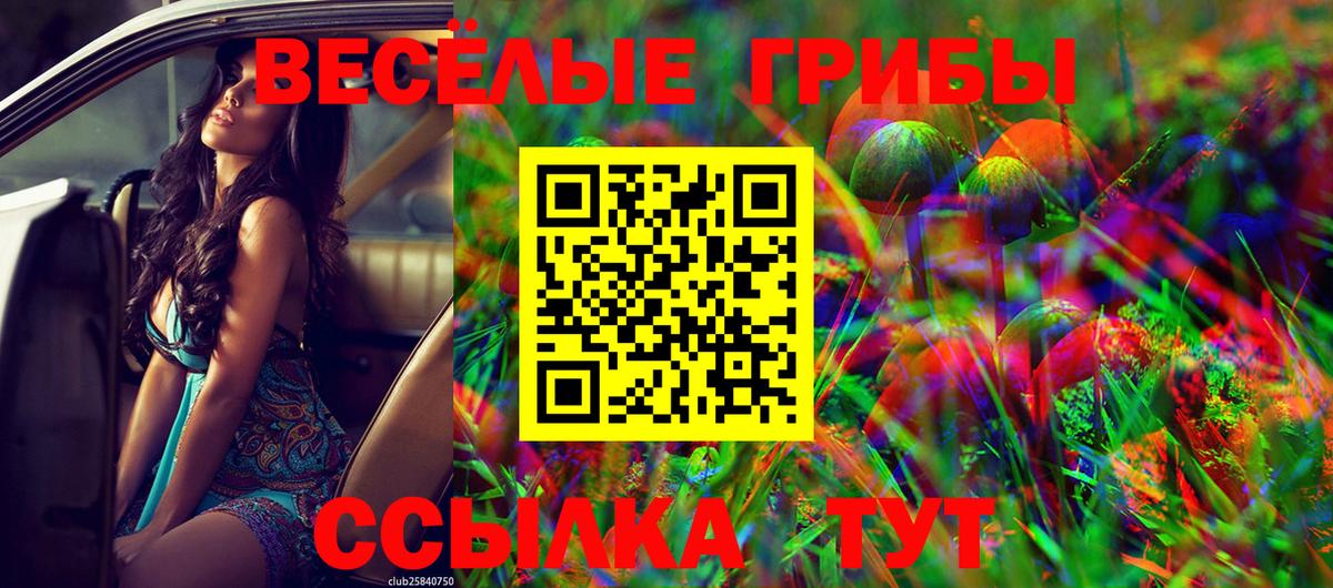 что такое наркотик  Псилоцибиновые грибы Magic Shrooms  Вход с VPN  Псилоцибиновые грибы GOLDEN TEACHER  Каменск-Уральский 